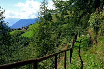 Corso di formazione "Turismo selvatico" promosso da Gal Valli di Lanzo Ceronda Casternone