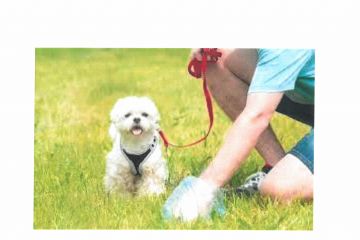 Disciplina circolazione nei luoghi pubblici dei cani ed altri animali domestici o addomesticati